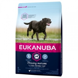 Eukanuba Mature & Senior koeratoit suurtele koertele 15kg