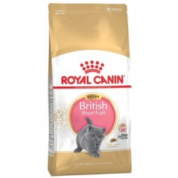 Royal Canin Kitten British Shorthair kassitoit 10kg