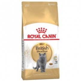 Royal Canin British Shorthair 34 4kg kassitoit