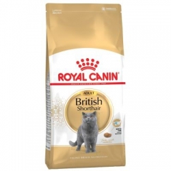Royal Canin British Shorthair 34 2kg kassitoit