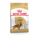 Royal Canin Cocker 25 Adult 6kg koeratoit