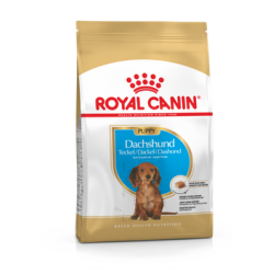 Royal Canin Dachshund 30 puppy 1,5kg  koeratoit