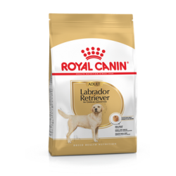 Royal Canin Labrador Retriever 30 Adult 2x3kg koeratoit