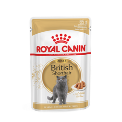 Royal Canin FBN BRITISH SHORTHAIR WET kassitoit 12x85g