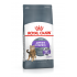 Royal Canin FCN APPETITE CONTROL kassitoit 2x2kg